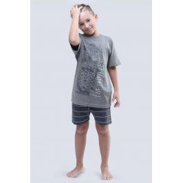 Pijama baietei Live Untamed gri
