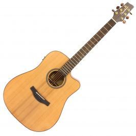 Pasadena D100CE (B-Stock) #909194